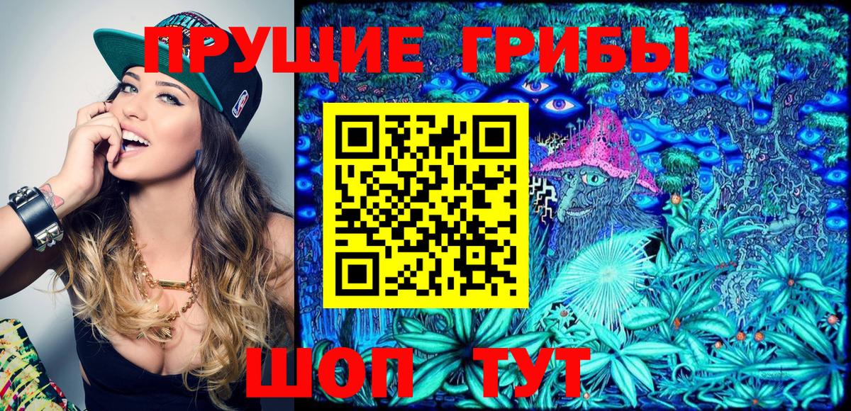 Псилоцибиновые грибы мицелий  Псилоцибиновые грибы Psilocybe  Вход с VPN  Ялуторовск 