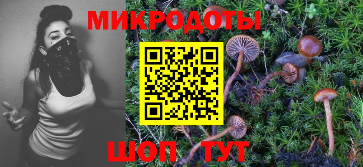 Псилоцибиновые грибы ЛСД Ялуторовск
